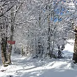 Bed & Breakfast La Bousquetiere 3*