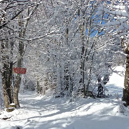 Bed & Breakfast La Bousquetiere 3*