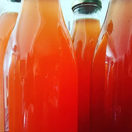 La Bousquetiere Bed & Breakfast Jausiers