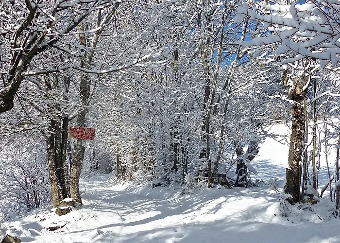 Couette-café La Bousquetière 3*